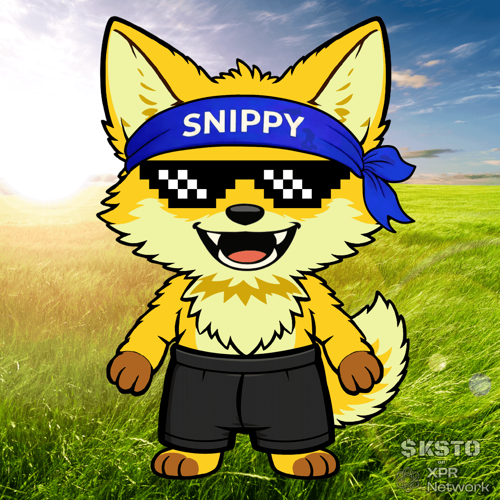 KSTO Snippy – Genesis Drop | By creatorx